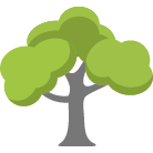 Saint George Tree Trimming
